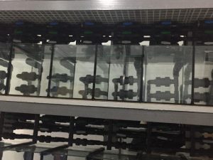 Aquários técnicos | scalare.pt